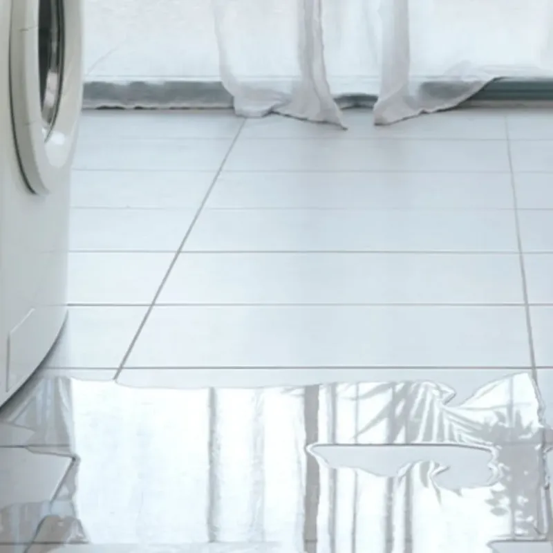 Appliance Leak Cleanup in Eudora, KS