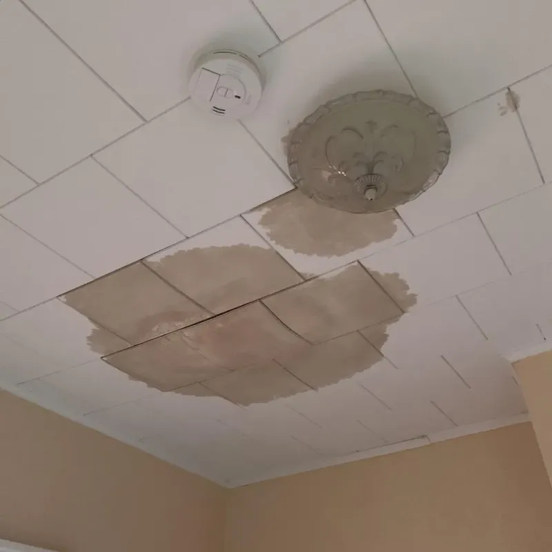 Ceiling Water Damage Repair in Eudora, KS