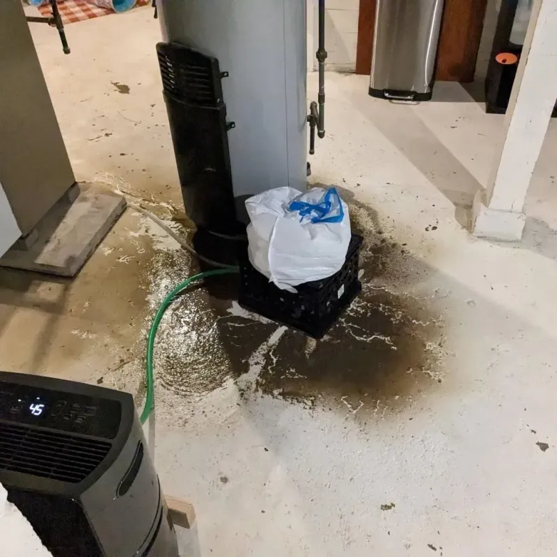 Sewage Backup Cleanup Service in Eudora, KS